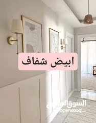  7 عمرو المصري للدهانات والطراشه والديكورات والعزل والصيانه العامه