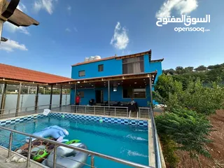  18 شارع الاردن الكمشة العالوك