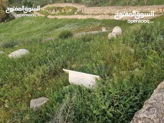  2 قطعة أرض للبيع _ تل الرمان _ شمال عمان