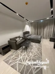  15 LUXURY STUDIO FOR RENT IN SEEF