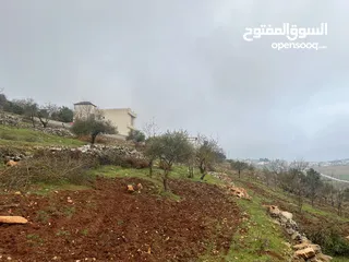  3 ارض للبيع في الأردن - عجلون