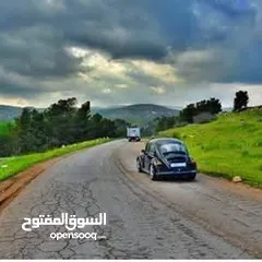  2 فرصتك الان للاستثمار في طلوزة قرب شلالات الباذان ارض كوشان مستقل صادر عن سلطة الاراضي  ,,,, تصنيف A