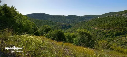  2 مزرعه مع بيت راقيه راس منيف موقع مميز مطله و بسعر مغري جدا