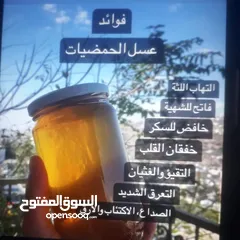  28 عسل طبيعي 100% وجميع منتجات النحل شركة كاشور للعسل الطبيعي تقدم لكم الأفضل دائما