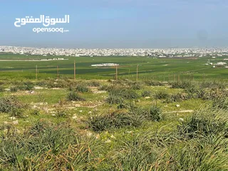  4 ارض للبيع حوض الجبيل وارض حوض ام الابار جنوب شارع الصوامع وقرب مدارس الجسور متوفر اكثر من قطعة