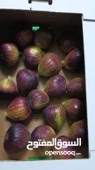  1 تين تركي براون Fig Fruit