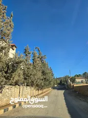  5 قطعة ارض للبيع تل الرمان خيل وليل