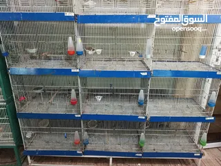  7 غرفة طيور كامله للبيع اقرأ الوصف سعر قابل للتفاوض بشكل بسيط