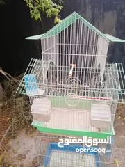  23 قفص ببغاء كبير يتسع لأكثر من طير مستعمل نظيف