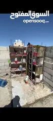 3 قنين حديد 8 عيون نضاف