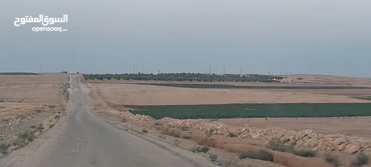  5 أرض للبيع في جنوب عمان خان الزبيب