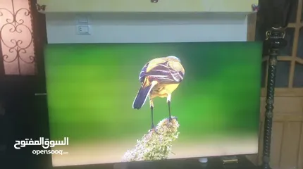  4 شاشه سامسونغqu 950 8k 75بوصه