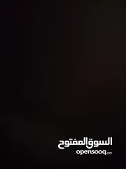  1 شقة للبيع او البدل