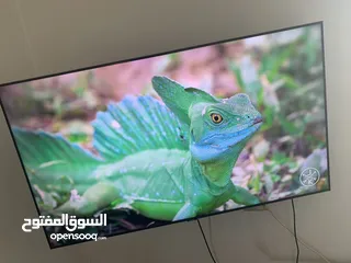  2 شاشه سامسونج اصليه 4k