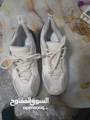  9 شروة احذيه  البيع كامل الكميه 30 حبه