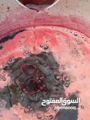  16 شروة دبس رمان بلدي للبيع