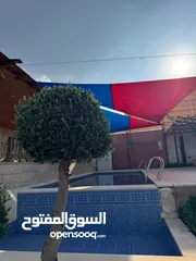  6 مزرعة وشاليه جنة النعيم طريق المطار للايجار اليومي