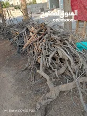  12 تشكيلة حطب للبيع