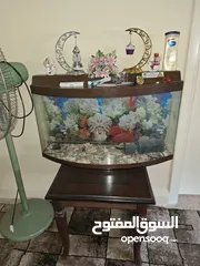  1 حوض سمك تفاصيل