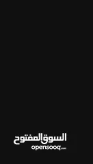  1 حسن النتشة