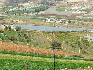  1 ارض بالنصارية