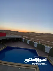  8 شالية الكرم