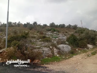  1 ارض للبيع في عنبتا منطقه الجبل الجنوبي تصنيف أ واصلها جميع الخدمات على شارع مزفت