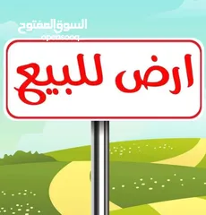  1 قطعة ارض لقطة 500م  في ياصيد للبيع بسعر مغري جدا