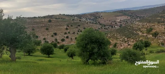  5 الكمشه حوض المكمان 3405 م على شارعين اطلاله شماليه غربيه رائعه مستصلحه ومسوره قرب الخدمات