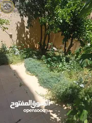  6 شقة مميزة للبيع في عبدون الشمالي  - خلف المركز العربي 225م مع حديقة وترسات 210م بسعر مغري