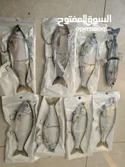  17 معدات صيد الأسماك
