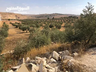  3 بلدية ارحاب/ حمامة العموش