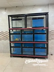  2 واجهه احواض سمك للبيع