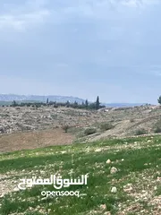  1 ارض 5 دونم سكن ريفي في بدر ( حي الاميرات)