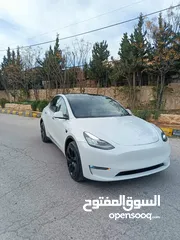  1 Tesla Model Y 2021 Dual Motor