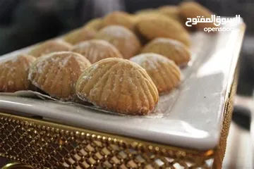  9 مشروع المليون دينار فقط لأصحاب مطاعم الحمص والفول والفلافل والمستثمرين من يرغب الأستثمار في المشروع