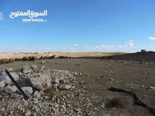  11 قطعة أرض ملاصقة لمشروع الشهد في اجمل مناطق الذهيية