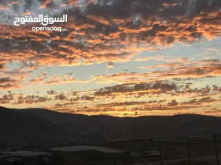  5 ارض للبيع في النصارية مطلة على جميع الجهات ما بسكر عليها حدا وصحية واصل مياه وكهرباء مع جدار جنوبي