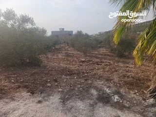  2 حصة 700 متر بالمسقوفة