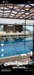  1 ابو وائل عليوي