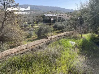  7 ارض مميزة تصلح لمزرعة او شاليه مقابل مطعم بيت شاكر والاسطبلات الملكية