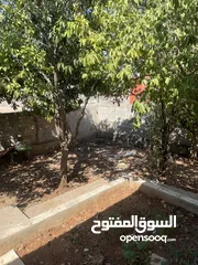  8 بيت مستقل للبيع