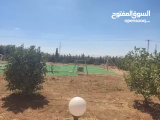  12 مادبا حواره مزرعه للبيع
