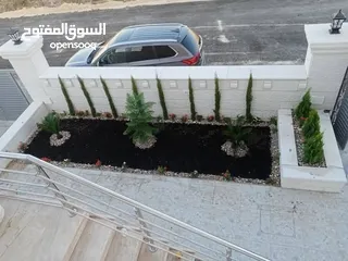  7 نجيل طبيعي ونجيل ديكوندرا