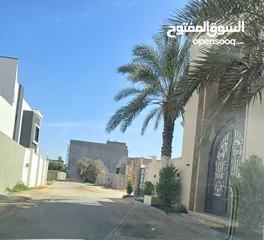  6 300 م  صلاح الدين حي الزهور  قطران