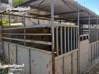  3 غرف خيل حديد