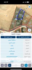  3 فرصة ذهبية: مزرعة زيتون 25 سنة في بلعما – 4 دونم بـ35ألف