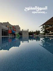  4 مزرعة نخيل مجهول مثمر ومنتج  + شاليه مودرن للبيع بأجمل مناطق الغور بالقرب من سد الكرامة 60 ك من عمان
