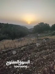  29 قطعة ارض للبيع 7.700 متر قوشان مستقل