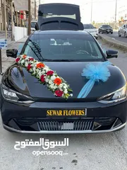  7 سيارات للاجار
